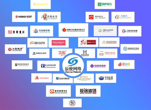 合肥辰俊信息科技 軟件開發(fā)與網(wǎng)絡(luò)推廣的專業(yè)解決方案