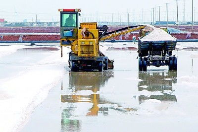 昔日鹽堿灘，今日聚寶盆 漁業(yè)機(jī)械化繪就生態(tài)富民新圖景